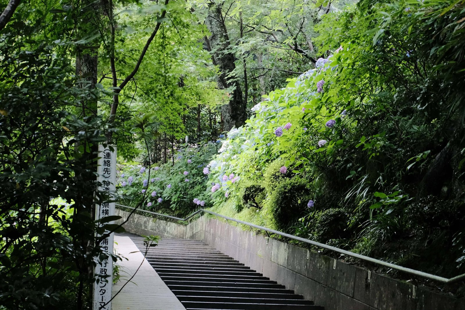 Fujifilm X-M5 photo 53