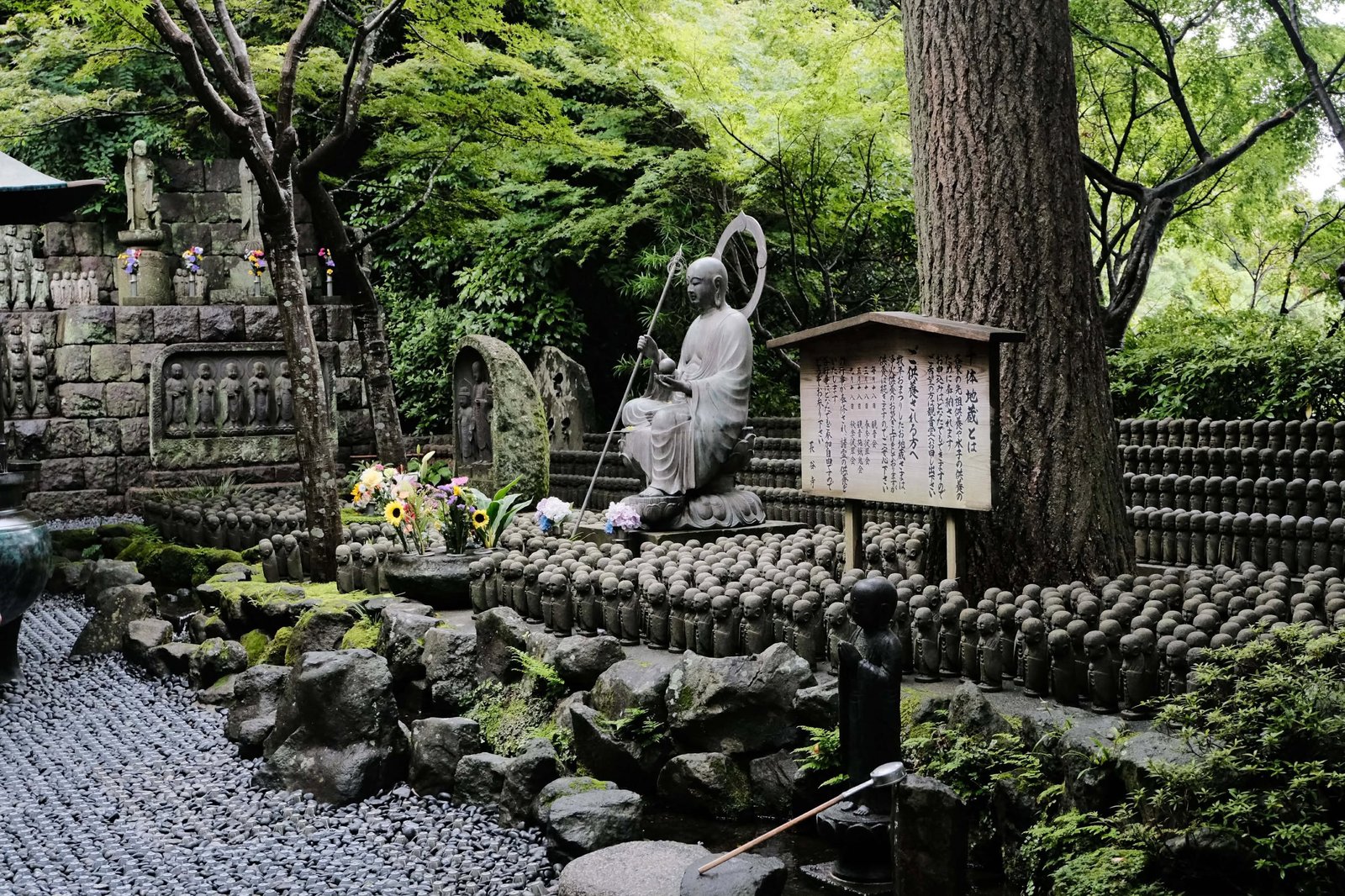 Fujifilm X-M5 photo 54