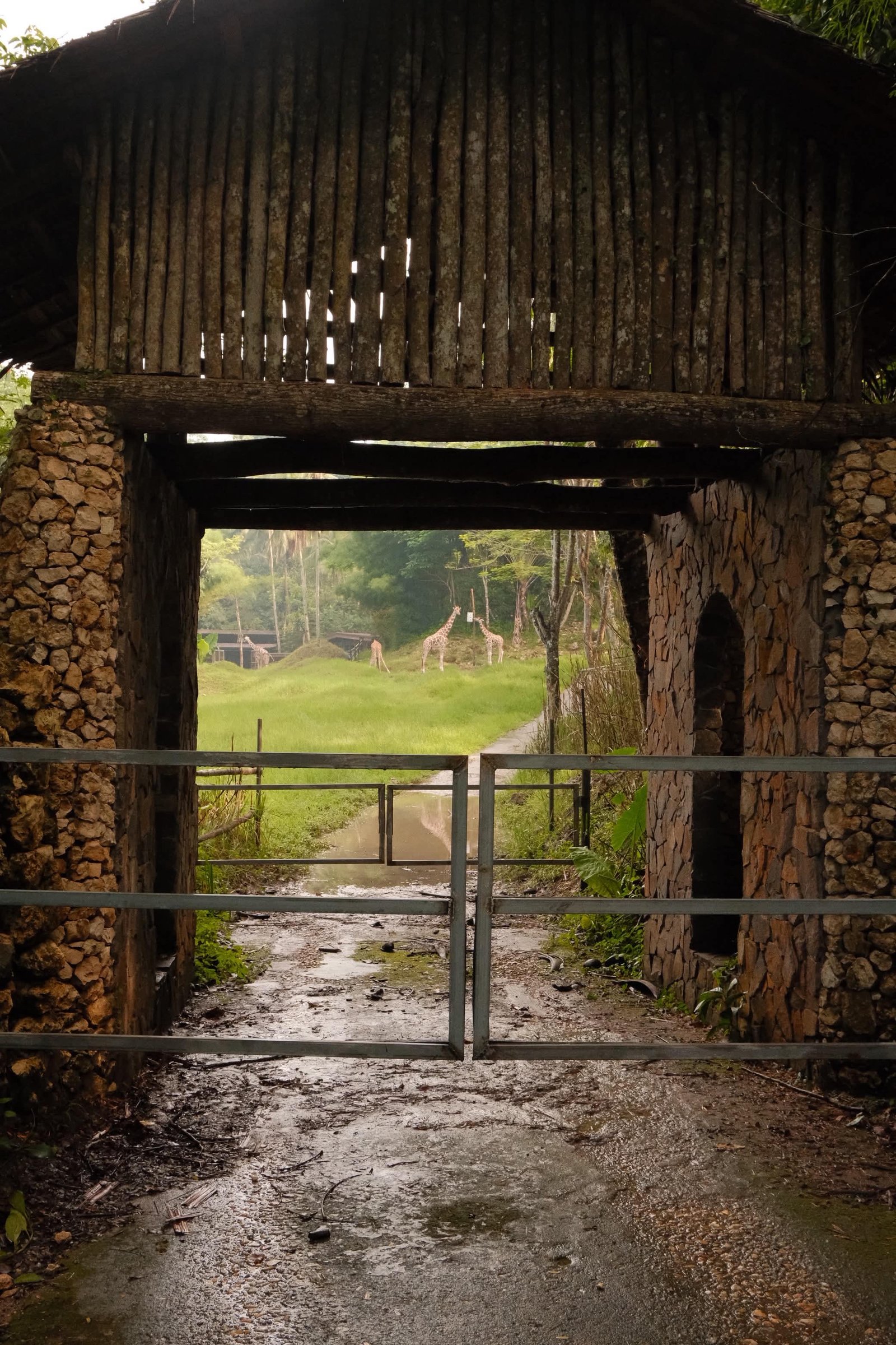 Fujifilm X-M5 photo 17