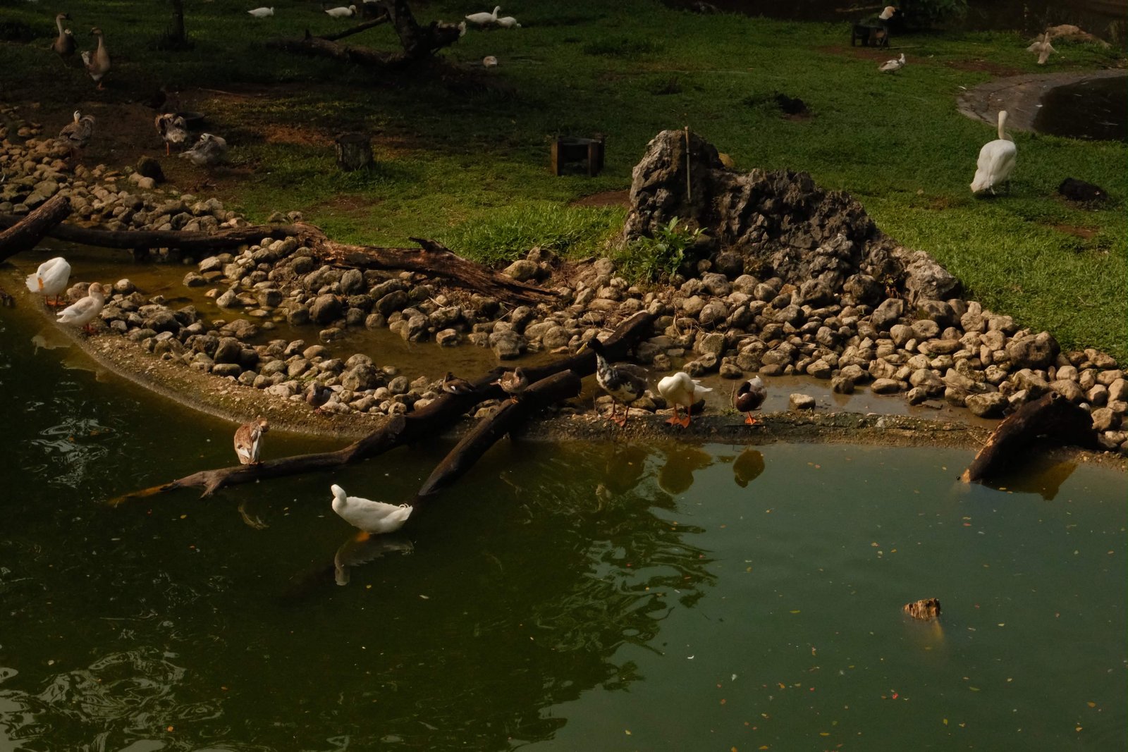 Fujifilm X-M5 photo 4
